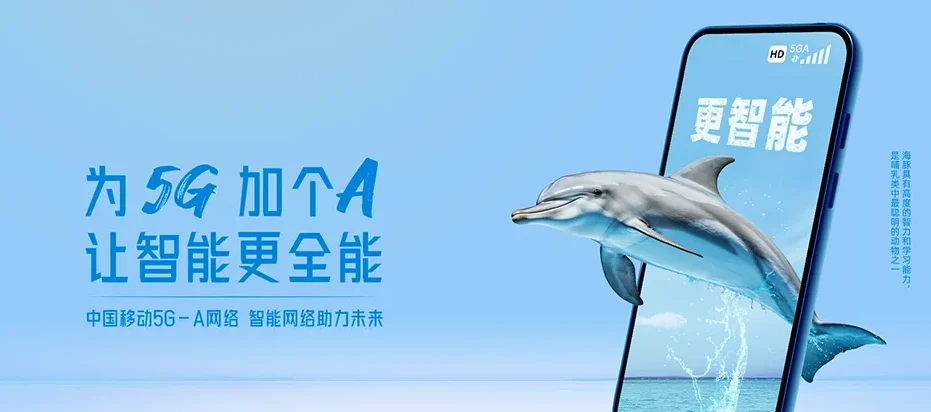 琅琊区琅琊区琅琊街道 移动宽带